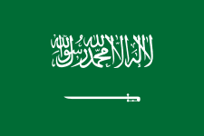 Logo of team Saudi Arabia